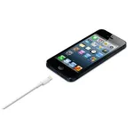 APPLE CABLE LIGHTNING TO USB 0.5M WHITE ME291ZM/A — imagen 4